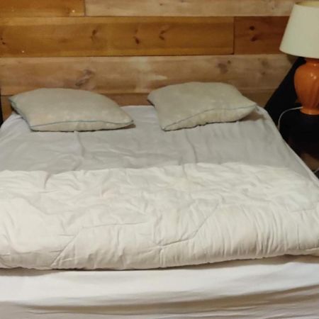 La Cabane Rustique Du Bassin Apartment La Teste-de-Buch Luaran gambar